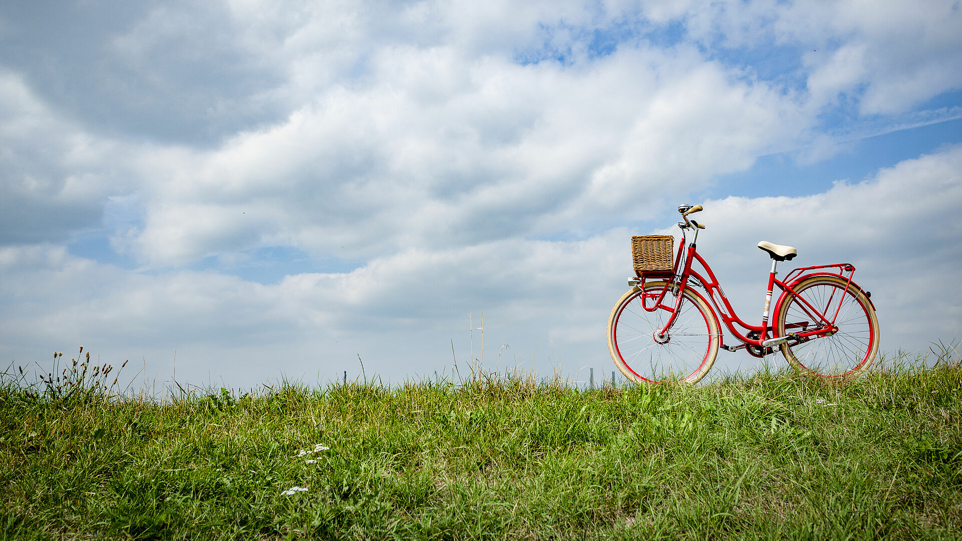 Ein rotes Fahrrad auf der grünen Wiese des Deichs. Im Hintergrund blauer Himmel.